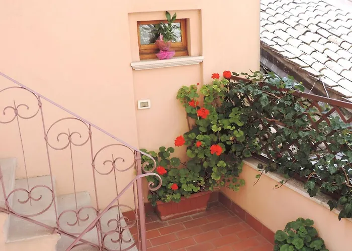 Signa بيرودجا